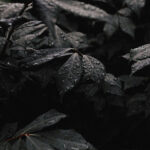 呪われてる気がする…と感じたら絶対にやるべきことを徹底解説！